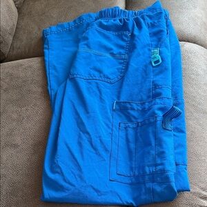 Carhartt Women's Bright Blue Cargo Pants